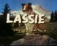 lassie.jpg