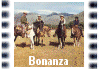 Bonanza