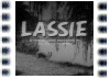 Lassie